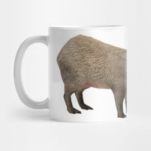 Capybara Mug